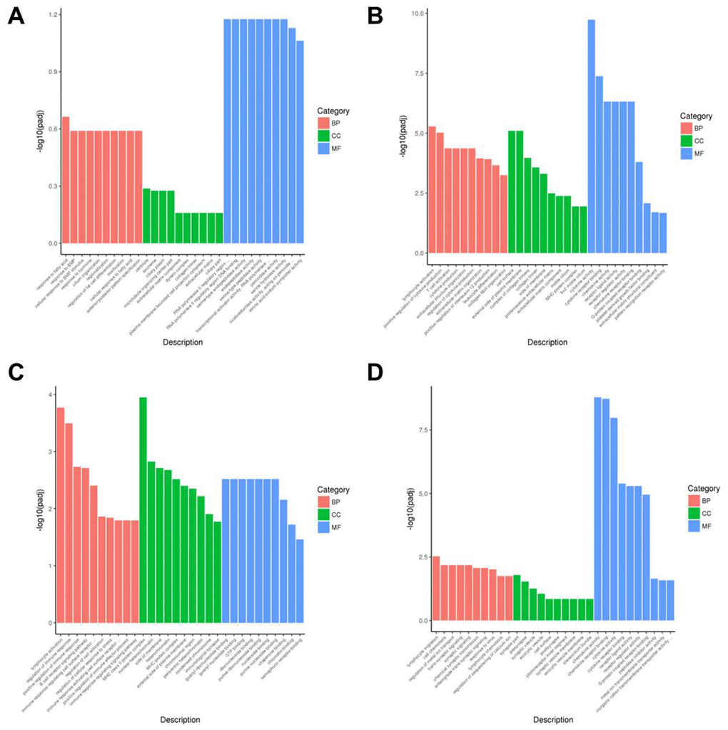 Gene ontology enrichment analyses of DEGs in the nasal mucosal tissues of AR model guinea pigs treated with YJD or dexamethasone. The top 30 enriched GO terms related to the biological process (BP), cellular component (CC), and molecular function (MF) categories based on the analyses of DEGs for the (A) control vs. AR model, (B) control vs. AR model plus YJD, (C) AR model vs. AR model plus dexamethasone, and (D) AR model vs. AR model plus YJD groups.