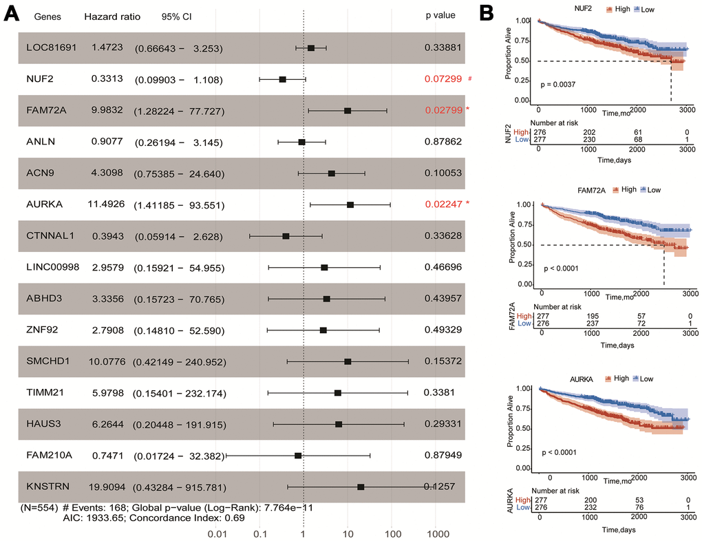 Effects of hub genes on survival outcome of MM patients of GSE24080. (A) Forest plot of multivariate Cox regression analysis for fifteen genes. FAM72A, AURKA, and NUF2 were significantly associated with survival in multiple myeloma patients (pB) Kaplan-Meier analysis of FAM72A, AURKA and NUF2 to predict patient survival. MM patients with the high and low expression levels of three genes were divided into two groups according to the cut-off value of medium expression levels. p-value of the Log-rank test less than 0.05 was considered as a statistical difference.