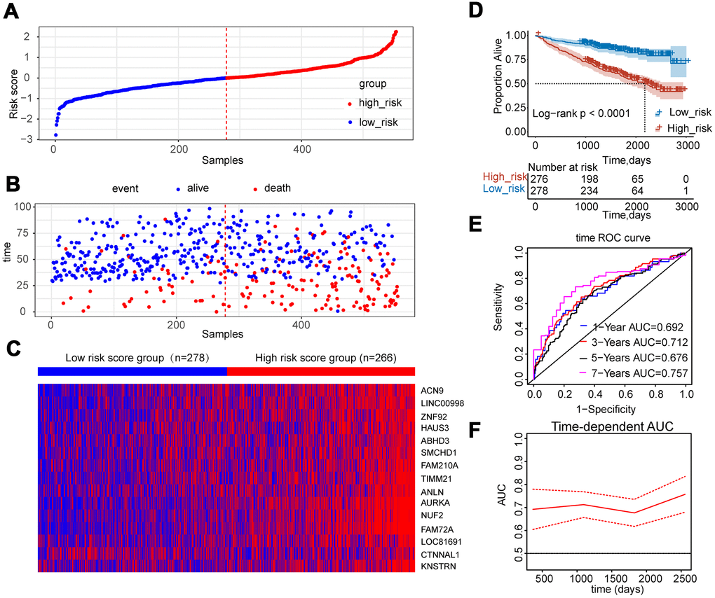 Construction of risk score model using the fifteen-gene expression profile in MM patients of GSE24080. (A) Fifteen-gene risk score distribution of MM patients based on risk score levels. The best cut-off value was used to divide the patients into two groups. (B) The survival status of all patients was distributed and classified by risk score group. (C) The expression profiles of the fifteen genes in high-risk and low-risk groups. (D) Kaplan-Meier analysis of the fifteen-gene risk score model. (E) Time-dependent ROC curves for the fifteen-gene risk score model to predict overall survival of MM patients. AUCs for 1 to 7-year survival were shown in the figure. (F) Time-dependent AUCs for the risk assessment model.