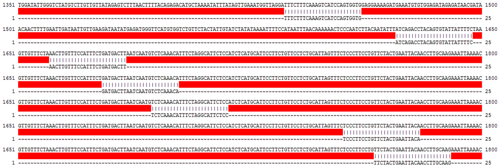 List of the probes matched to AC079630.4 in the probe-set of 236065