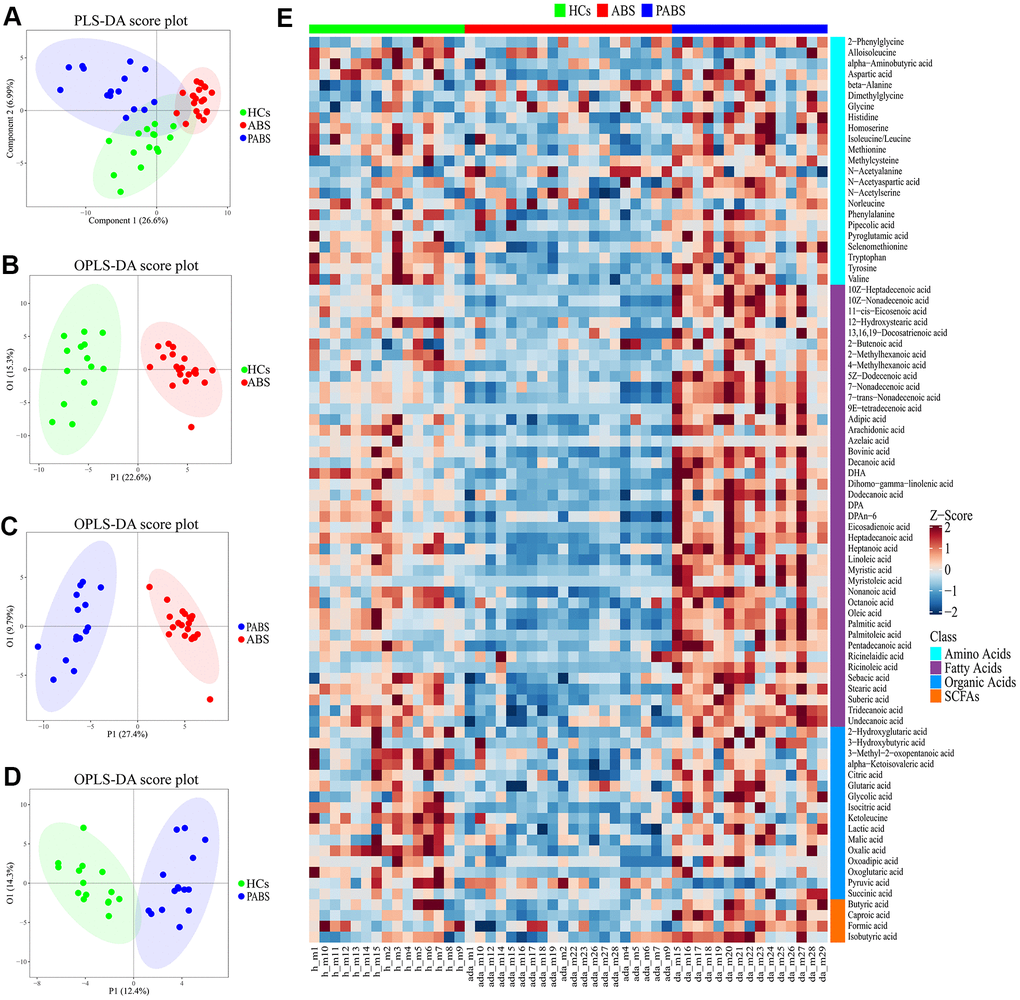 Obvious metabolic abnormalities during acute heroin withdrawal. (A) PLS-DA score plot of plasma samples obtained from the 3 groups. (B) OPLS-DA score plot showing separation by phenotype between healthy controls and acute heroin withdrawal. (C) OPLS-DA score plot showing separation by phenotype between long-term heroin withdrawal and acute heroin withdrawal. (D) OPLS-DA scores plot showing separation by phenotype between healthy controls and long-term heroin withdrawal. (E) The heatmap of differential metabolites between the 3 groups.