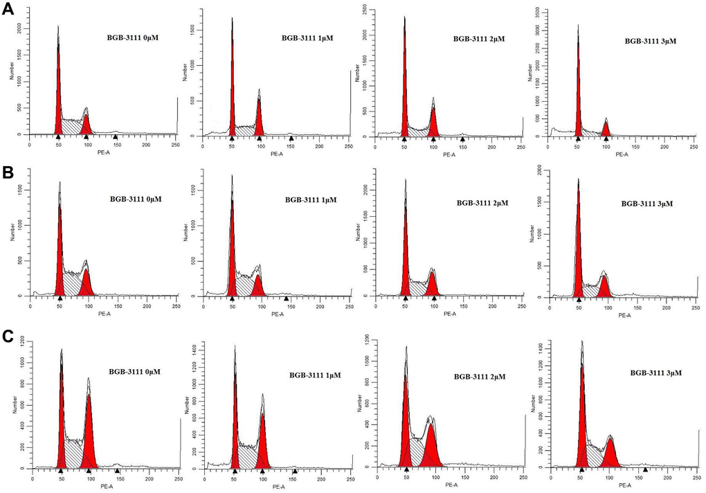 Cell-cycles are arrested at G1/G0-phase in the MCL cell lines after being treated with BGB-3111. Cell cycles of Jeko-1 (A) Rec-1 (B) and Z138 (C) treated with BGB-3111 at the doses of 0 μM, 1 μM, 2 μM, and 3 μM for 48 h. The cell percentage of the cell cycle was detected using flow cytometry.