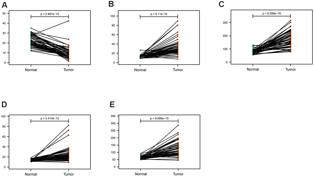 Comparison of the hub genes mRNA levels in paired adjacent normal tissues and LUAD tissues from the TCGA cohort. (A) ARRB1, (B) PARP1, (C) PKM, (D) TFDP1, (E) YWHAZ.