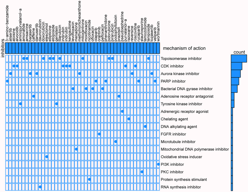 Results of CMap analysis.