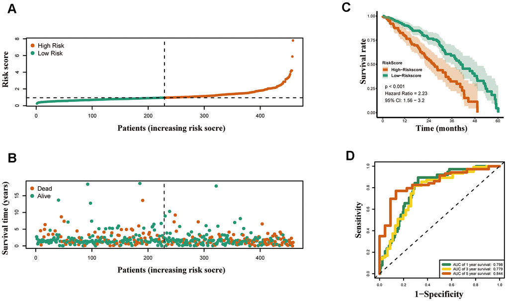Construction of the epigenetic-based prognostic risk signature in the TCGA cohort. (A) The risk score distribution of LUAD patients. (B) Survival status and duration of patients. (C) Survival curves for the low risk and high risk groups. (D) Time-independent receiver operating characteristic (ROC) analysis of risk scores for prediction the overall survival in the TCGA set.