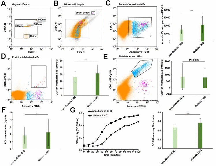 Comparison of circulating MPs, EMPs, PDI, and activity of MP-PDI in the diabetic CHD group and non-diabetic CHD group. (A) Megamix Beads distribution (0.1 μm/0.3 μm /0.5 μm /0.9 μm). (B) MPs gate and count beads gate. (C) Circulating Annexin V+ MPs in non-diabetic CHD group and diabetic CHD group. (D) Circulating EMPs (Annexin V+/CD144+) in the non-diabetic CHD group and diabetic CHD group. (E) Circulating PMPs (Annexin V+/CD41+) MPs in non-diabetic CHD group and diabetic CHD group. (F) Detection of PDI concentration in serum of non-diabetic CHD group and diabetic CHD group. (G) Detection of PDI activity in MPs by insulin transhydrogenase assay of non-diabetic CHD group (n=121) and diabetic CHD group (n=102). Values are expressed as mean±SD. Analyses were done by t-test for independent samples. *PPP