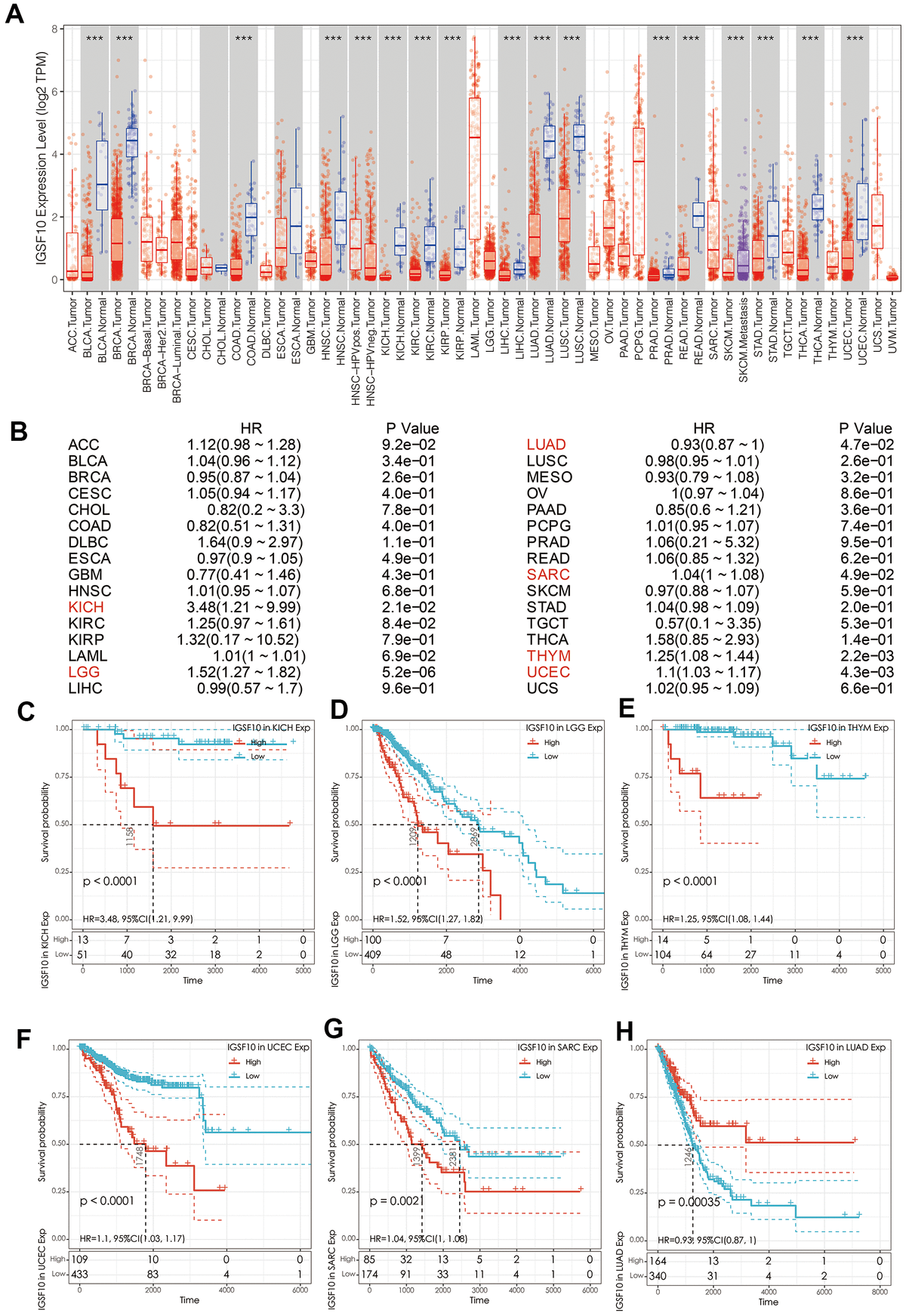 Prognostic significance of IGSF10 expression in pan-cancer tissues. (A) The expression levels of IGSF10 in pan-cancer and corresponding normal tissues from the TCGA database. (B–H) Survival curves show OS rates of high- and low-IGSF10 expressing tumor tissues from various TCGA pan-cancer datasets.