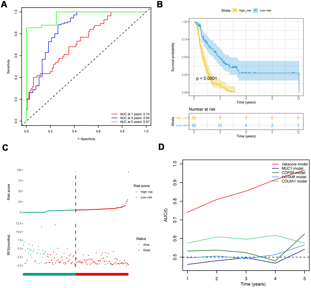 Comparison with other prognostic biomarkers and validation of eight-IRlncRNA signature in the validation cohort (PACA-CA). (A) ROC curve of eight-IRlncRNA signature for 1, 3, 5- year survival. (B) Kaplan-Meier curves for the high- and low-risk groups. (C) Risk score distribution and the survival status for patients. (D) Time-dependent ROC curve for the eight-IRlncRNA signature compared with other prognosis biomarkers.
