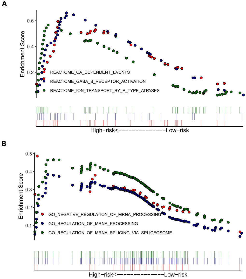 Enrichment plots from gene set enrichment analysis (GSEA) in high- and low-risk groups. GSEA indicated significant enrichment of immune-related phenotype in the high-risk patients, which were based on c2.all.v7.0.symbols.gmt (A) and c5.all.v7.0.symbols.gmt (B).