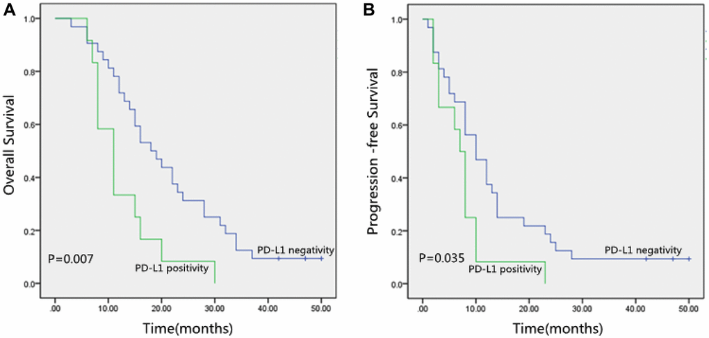 (A) Kaplan-Meier curves of Overall Survival (OS) according to PD-L1 expression. (B) Kaplan-Meier curves of Progression-Free Survival (PFS) according to PD-L1 expression. PD-L1, programmed death-ligand 1.