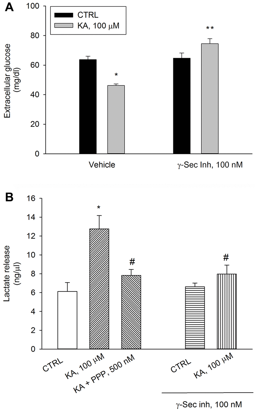 Inhibition of Aβ release or blockade of IGF-IRs prevent kainate-stimulated lactate release. Following 2 hours of glucose deprivation, 3 mM glucose was added to neuronal cultures. A treatment with kainate (KA, 100 μM) stimulated glucose uptake after 10 min (A) and lactate release after 40 min (B). Glucose consumption was measured as glucose (mg/dl) remaining in the incubation buffer 10 minutes following re-addition. With respect to the initial 3 mM glucose concentration, no glucose uptake occurred within 10 min unless KA was added. The IGF-IR antagonist, PPP (500 nM), and γ-secretase inhibitor IX (γ-Sec Inh, 100 nM) prevented kainate-stimulated lactate release at 40 min (B). Bars represent the means ± SEM of 4 determinations. In (A) p *control (CTRL) or **KA alone. In (B) p *CTRL or #KA alone; one-way ANOVA with post hoc Fisher LSD multiple comparison method.