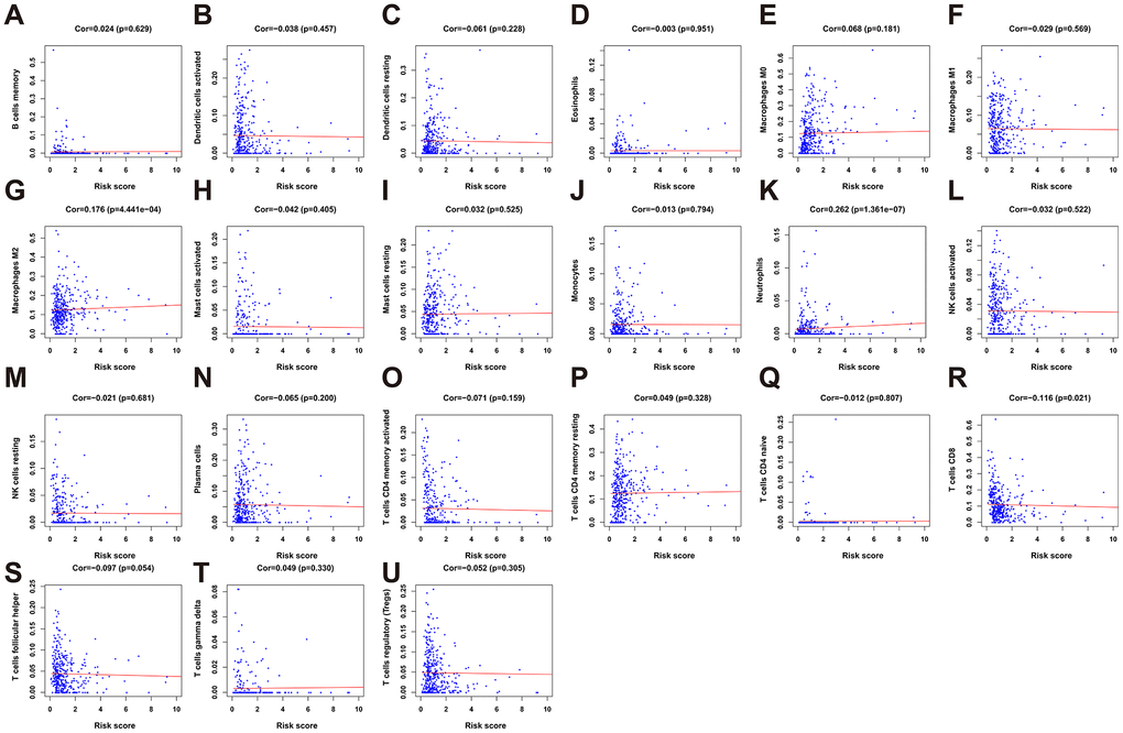 The correlation between the risk score and immune cell infiltration in the cohort. (A) B cells memory. (B) Dendritic cells activated. (C) Dendritic cells resting. (D) Eosinophils. (E) Macrophages M0. (F) Macrophages M1. (G) Macrophage M2. (H) Mast cell activated. (I) Mast cell resting. (J) Monocytes. (K) Neutrophils. (L) NK cells activated. (M) NK cells resting. (N) Plasma cells. (O) T cells CD4 memory activated. (P) T cells CD4 memory resting. (Q) T cells CD4 naïve. (R) T cells CD8. (S) T cells follicular helper. (T) T cells gamma delta. (U) T cells regulatory (Tregs).