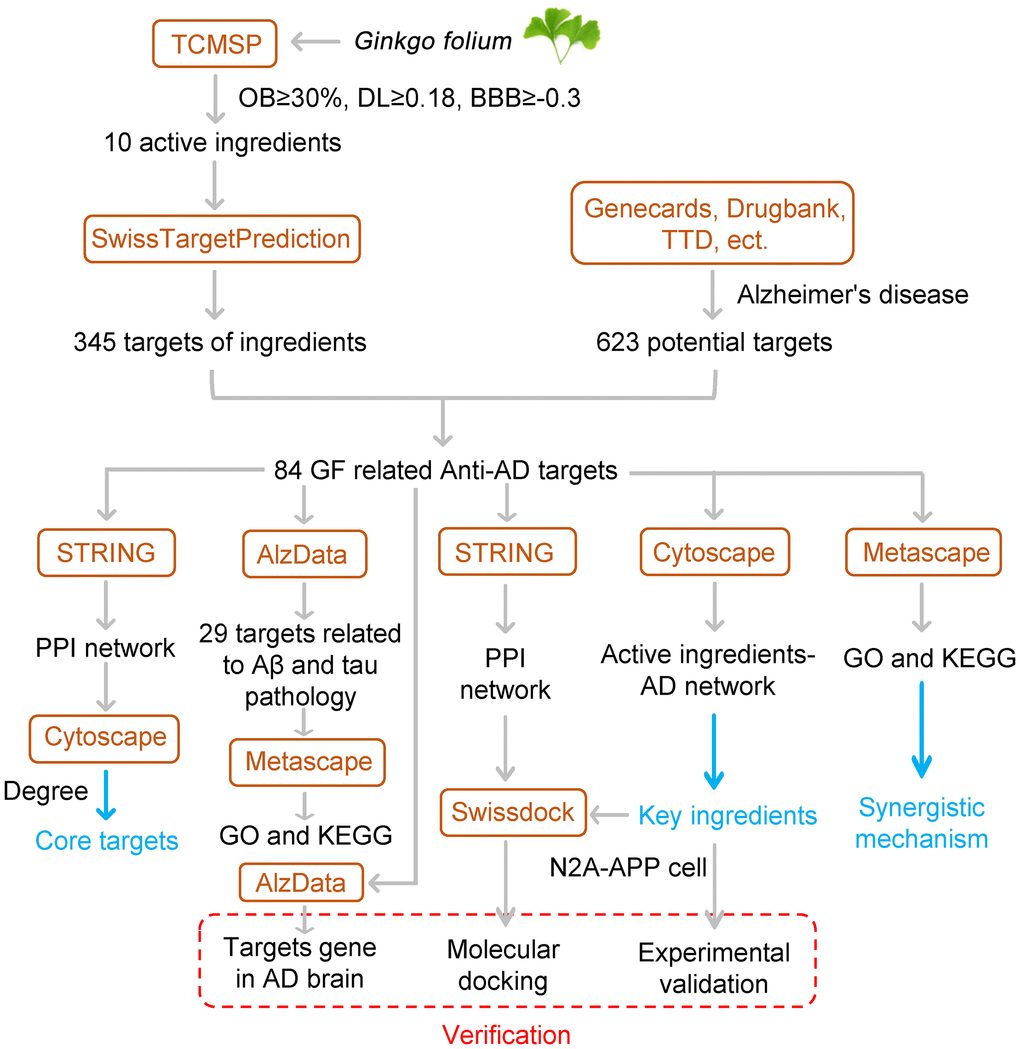 Flowchart of the study.