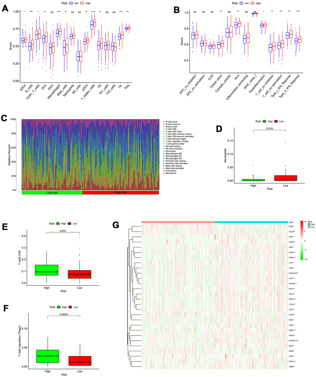 Correlation between the risk signature and immune cell infiltration. (A) Comparison of the infiltration of 16 immune cells between the different risk-groups. (B) Comparison of 13 immune-related functions between the different risk-groups. (C) The proportion of immune infiltration levels between the different risk-groups. (D–F) Box plots showing significantly different immune cells between the different risk-groups. (G) Heatmap of related negative genes involved in the regulation of the Cancer-Immunity Cycle between the different risk-groups; *p 