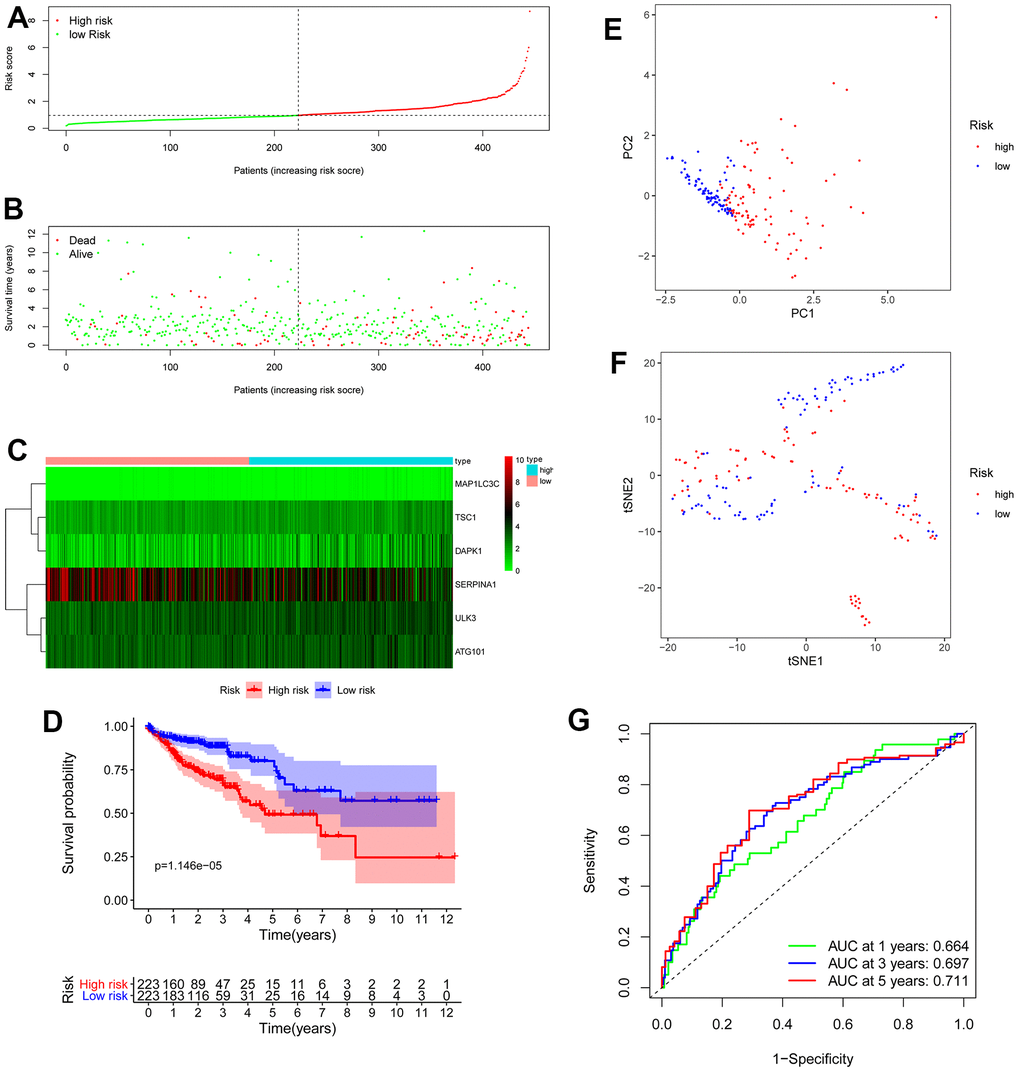 Development and validation of prognostic model based on the 