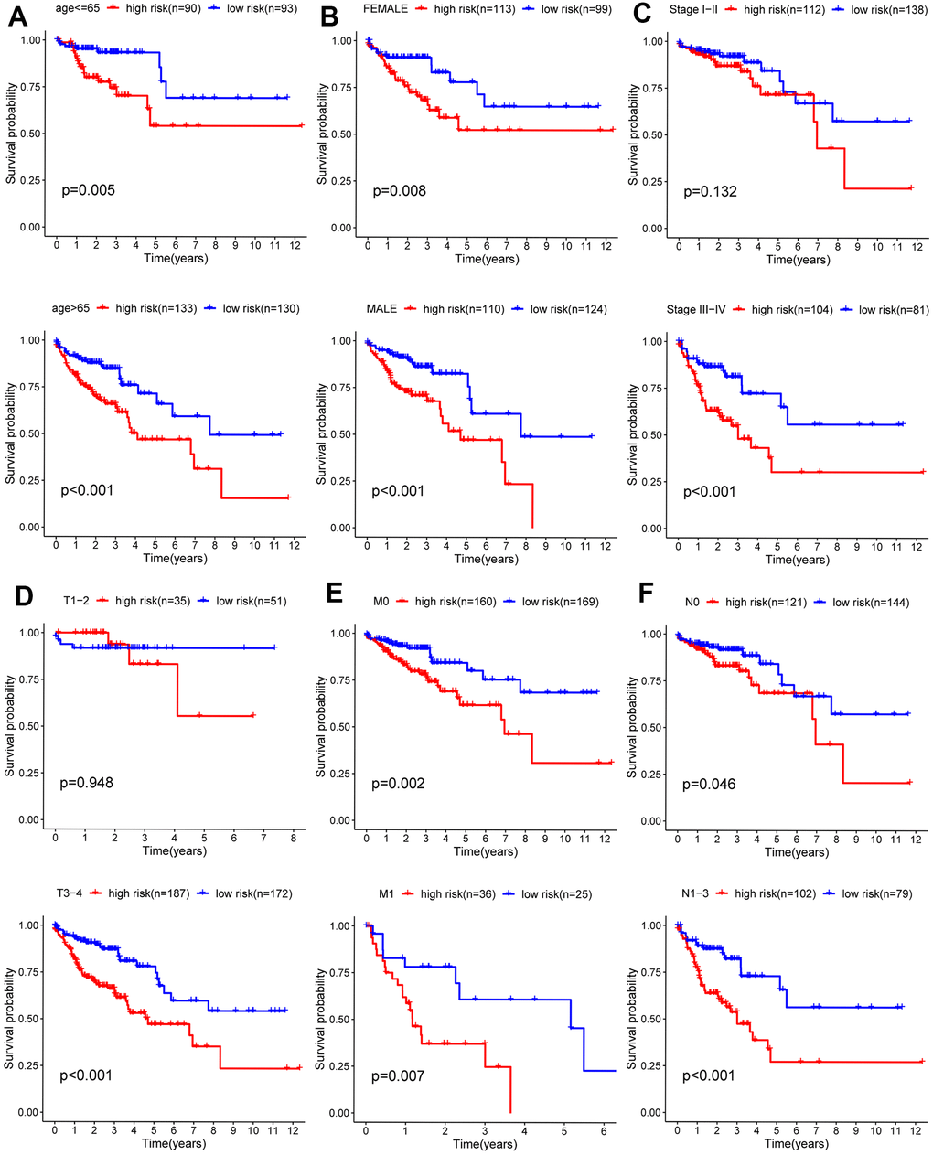 Kaplan-Meier curves for prognostic value of risk-score signature for the patients divided by each clinical characteristic. (A) Age, (B) gender, (C) stage (D) T, (E) M, (F) N.