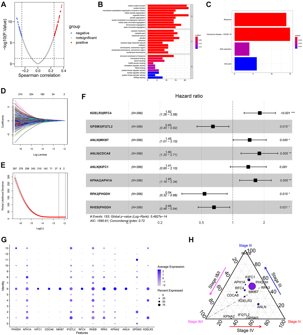 Establishment of HRS. (A) 96 of 2075 cell marker genes were significantly correlated with MATH. (B, C) GO functional annotation (B) and KEGG pathway enrichment (C) of the 96 genes. (D, E) 10 crucial gene-pairs correlated with OS were identified via Lasso-Cox regression. (F) 8 of 10 gene pairs were included in the prognostic model by multivariate Cox analysis with stepwise. (G) The expression values of 13 genes comprising the 8-gene-pair signature in 14 cell subpopulations. (H) The mutational rates of the 13 genes in different stages in BCa. The size of the bubble represented the mutational rates in all samples.
