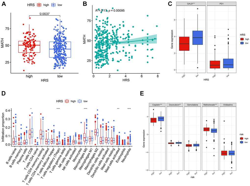 HRS was a potential predictor for clinical treatment of BCa. (A, B) HRS was significantly correlated with MATH, codetermined by difference (A) and correlation (B) analysis. (C) GAL-9 was differentially expressed between low- and high-HRS groups. (D) The cases in the high-HRS group were more likely to be associated with the high infiltration of M0 macrophages, activated mast cells, and neutrophils, whereas they were negatively correlated with the infiltration of CD8+ T cells and Tregs. (E) High HRS was linked to a lower IC50 for chemotherapeutics like cisplatin and doxorubicin, whereas it was correlated to a higher IC50 of methotrexate. *p **p ***p 