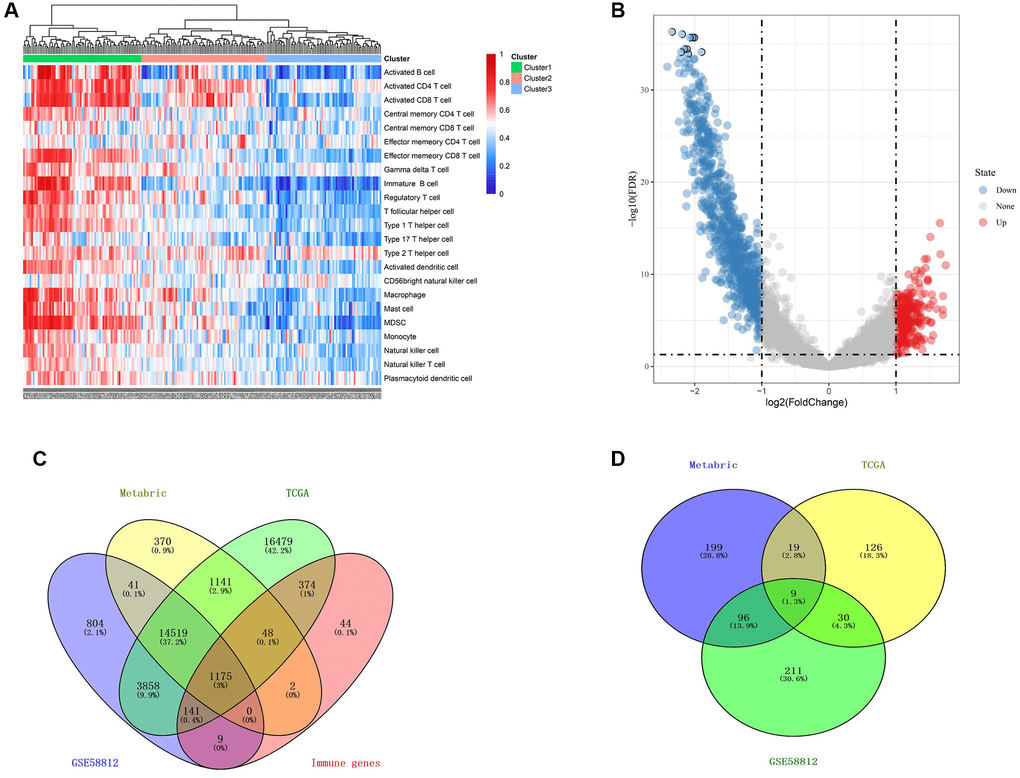 Identification of gene signature related to immune in TNBC. (A) immune related ssGSEA scores were estimated in the METABRIC cohort. (B) volcano plot demonstrated distinctive expressed immune-related genes between immune low and immune high groups (C) Venn diagram suggested 1175 immune related genes in the three cohorts. (D) Venn diagram suggested 9 prognostic hypoxia and immune related genes in the three cohorts.