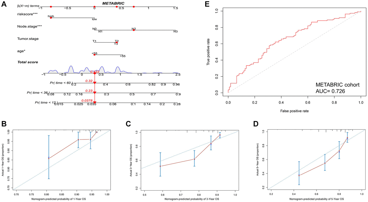 Combination of HIRS and clinicopathological features optimize risk stratification and survival prediction in the METABRIC cohort. (A) A nomogram was developed to analyze risk appraisal for individual patients. (B–D) Calibration analysis suggested a high accuracy of 1-, 3-, and 5-years OS prediction. (E) time-ROC analysis showed that the nomogram was a stable and reliable predictor for OS.