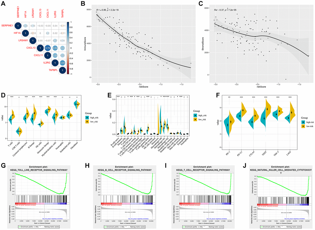 Validation of the hypoxia and immune related gene signature in the GSE103091 cohort. (A) Correlation network between the gene signature and HIF1A. Correlation between the risk score and immune score (B) and stromal score (C). (D) Association of MCP-counter-estimated infiltrating cells with the risk score. (E) Comparison of infiltrating immune cells (CIBERSORT) between different risk groups. (F) the expression of immune checkpoint targets between different risk groups. (G–J) GSEA of enriched immune-related signaling in the HIRS-based groups.