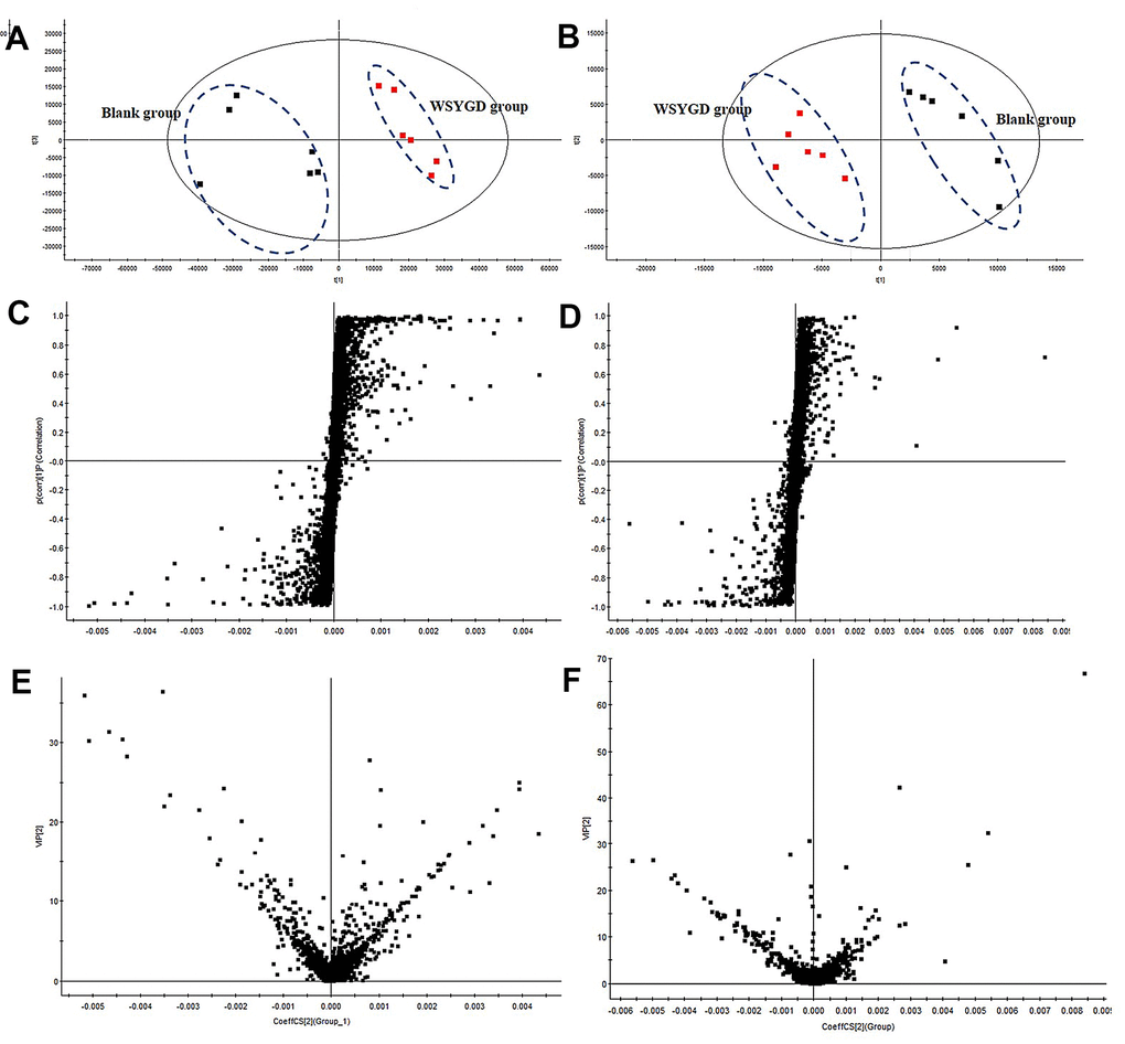 PCA score plot of all analyzed samples in positive-ion (A) mode and negative-ion (B) mode with the statistical parameters; S-plot of OPLS-DA in positive-ion (C) mode and negative-ion (D) mode with the statistical parameters; VIP value plot in positive-ion (E) mode and negative-ion (F) mode.