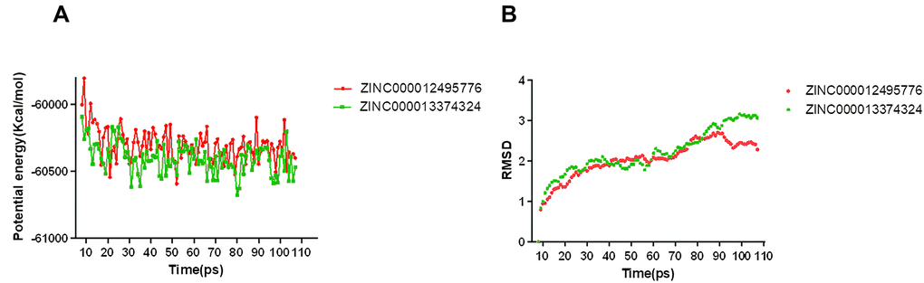 Results of molecular dynamics simulation of three complexes. (A) Potential energy; (B) Average backbone RMSD.