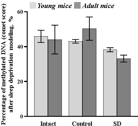 The percentage of methylated DNA (comet score) in the blood samples of female C57BL/6 mice after sleep deprivation modeling. No statistical differences between groups, p≤0.05, the Mann-Whitney test.