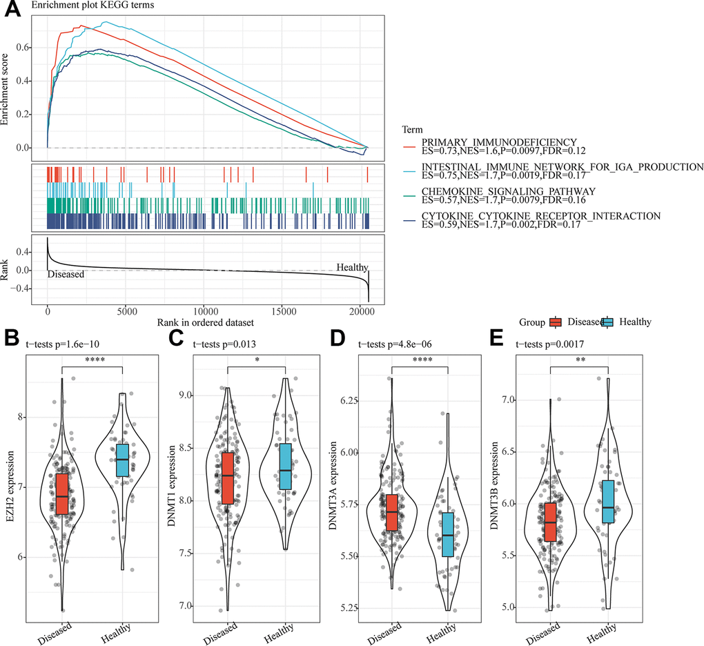 The translational disorders in the periodontitis were related to immunity and epigenetic inheritance. (A) Differences between four immune-related pathways significantly enriched by GSEA in periodontitis and normal samples. (B) Expression of EZH2 in periodontitis and normal samples. (C) Expression of DNMT1 in periodontitis and normal samples. (D) Expression of DNMT3A in periodontitis and normal samples. (E) Expression of DNMT3B in periodontitis and normal samples. *p**p***p****p