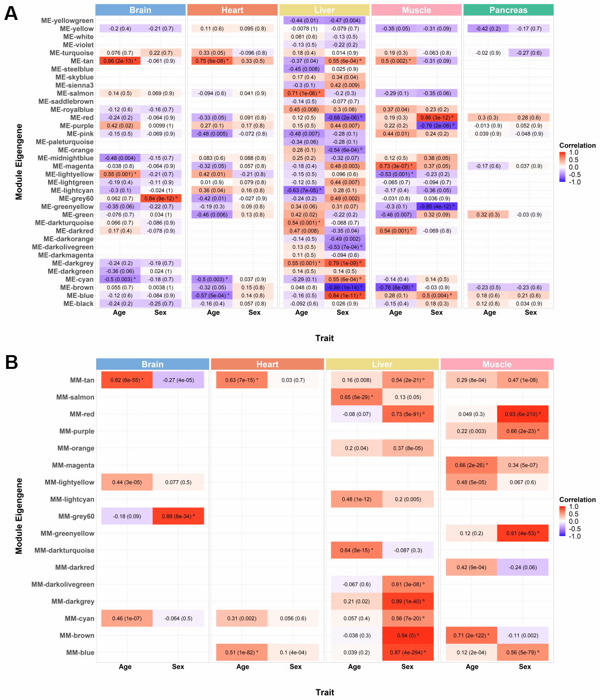 Weighted gene co-expression network module selection. (A) Correlation between each module’s eigengene (ME) with age and sex. Each tissue exhibits a variable number of modules of co-expressed genes (brain: 24; heart: 19; liver: 36; muscle: 21; pancreas: 10), and unassigned genes are clustered together in the grey module (not shown). ME is the first principal component of the expression matrix of a module, thus being the most representative gene expression profile of that group of correlated genes. Cells are annotated with bicor values and corresponding FDR adjusted p-values (inside brackets). Red and blue cells depict positive and negative correlations, respectively. The intensity of color represents the degree of correlation. All modules whose ME’s correlation with the trait of interest is significantly equal or higher than 0.5 were considered (moderate correlation and above; FDR B) Correlation between module membership (MM) and gene significance (GS) of the previously selected significant modules. MM is obtained by correlating the expression of individual genes to the ME, and GS corresponds to the absolute value of the correlation between individual genes and the trait of interest. Only modules with moderate or higher (≥ 0.5) and significant (p-value 