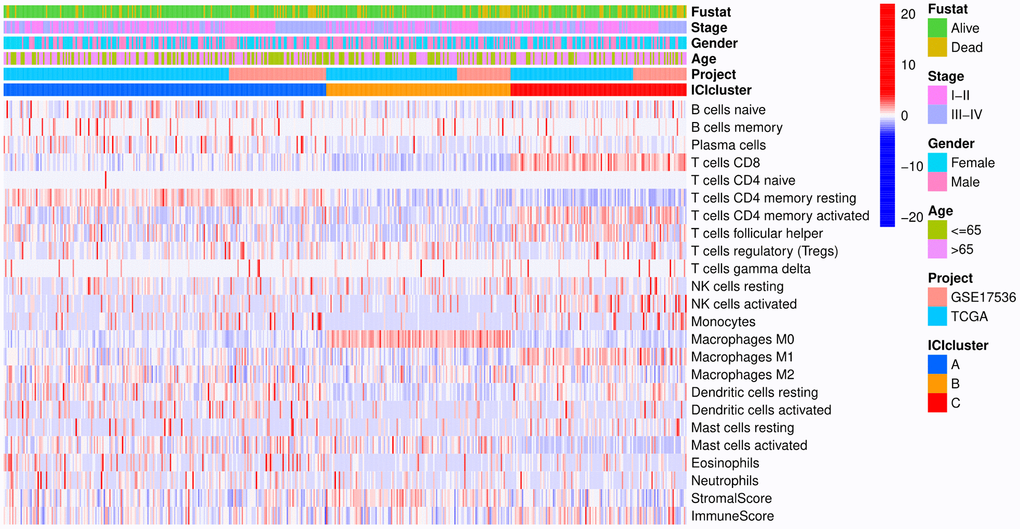 Heat map. Rows represent colon cancer samples, columns represent tumor-infiltrating immune cells, red indicates high expression, and blue indicates low expression.