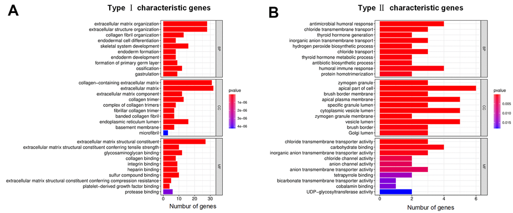 GO annotations for characteristic DEGs. (A) Bar chart for type I characteristic genes. (B) Bar chart for type II characteristic genes. The abscissa represents the number of characteristic genes, and the ordinate shows the GO term. BP represents biological process, CC represents cell component, and MF represents molecular function.