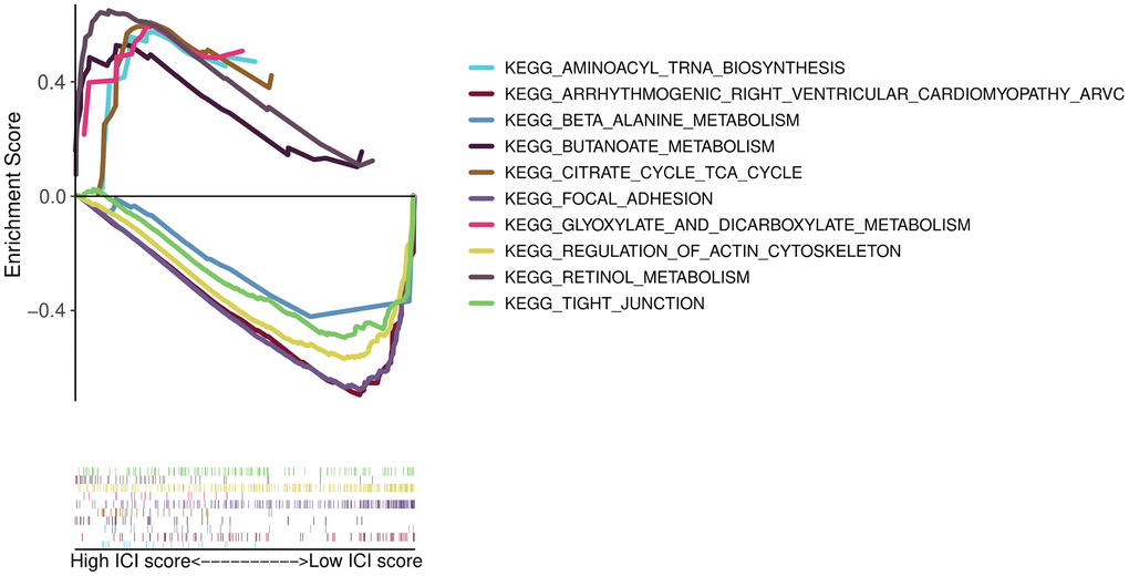 GSEA enrichment plots.