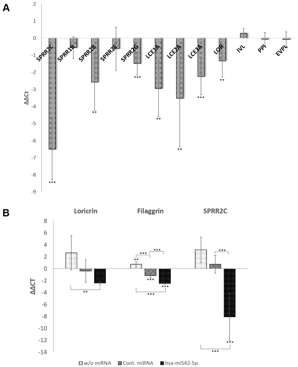 The role of the lncRNA SPRR2c and hsa-mir542-5p in keratinocyte differentiation. RT-PCR analysis of selected CE family members are presented as ΔΔCt values in (A, B). In (A) SPRR2C (pLL3.7-SPRR2c) is overexpressed after transduction of HaCaT cells with lentiviral particles. In (B) the increase of expression of several CE family members is analyzed after addition of 0.8 mM CaCl2 and transfection of HaCaT cells with hsa-mir542a-5p (N=4; *: p