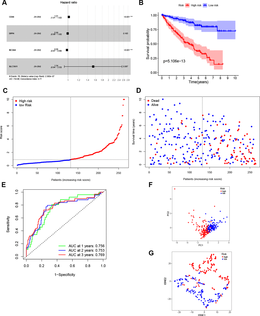 Construction of the prognostic model. (A) Construction of multivariate Cox analysis prognostic model. (B) K-M curve for the OS of ccRCC patients in high- and low-risk sets in the train set. (C, D) Distribution of risk scores and corresponding OS status in the train set. (E) ROC curve of the prognostic signature in the train set. (F, G) PCA and t-SNE analyses of the TCGA train set.