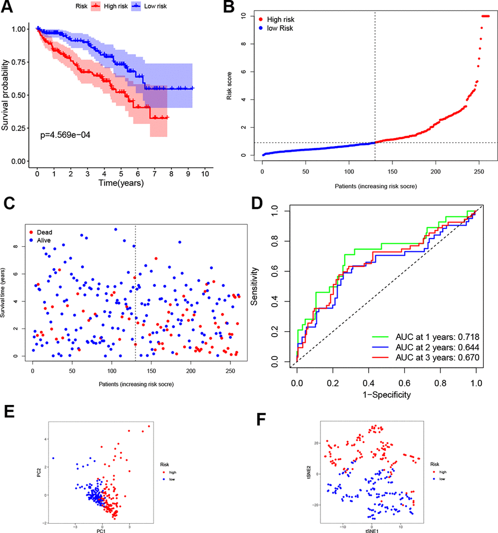 Validation of the four-gene signature. (A) K-M curve for the OS of ccRCC patients in the test set. (B, C) Distribution of the risk scores and corresponding OS status in test set. (D) ROC curve of the prognostic signature in test set. (E, F) PCA and t-SNE analyses of the TCGA test set.