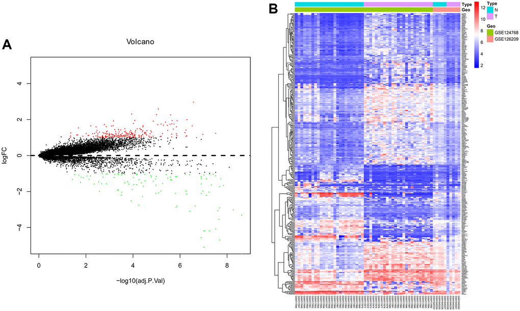 Differentially expressed genes analyzed by R software. (A) Volcano plot and (B) Heat map of differentially expressed genes. A: Red dots indicate up-regulated DEGs, green dots indicate down-regulated DEGs, black dots indicate non-differentially expressed DEGs. B: Red dots indicate up-regulated DEGs, blue dots indicate down-regulated DEGs, white dots indicate non-differentially expressed genes.