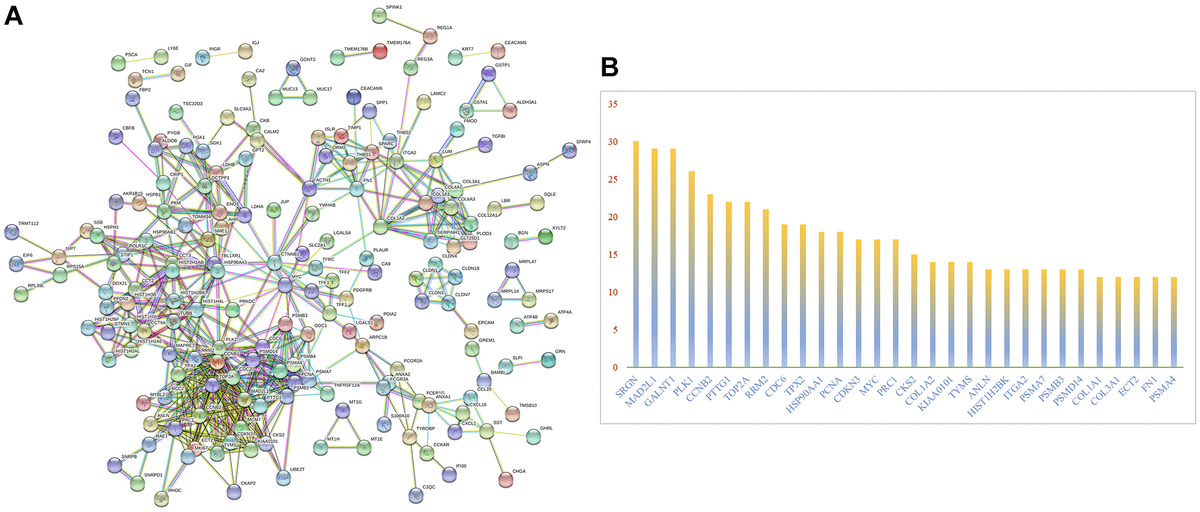 PPI network analysis of differentially expressed mRNAs. (A) PPI network analysis. (B) The frequency with which each core gene appears in the network diagram.
