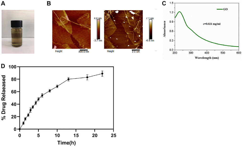 AWRK6/GO characterization and drug release rate (A–D). Note: (A) AWRK6/GO sample; (B) AWRK6/GO.