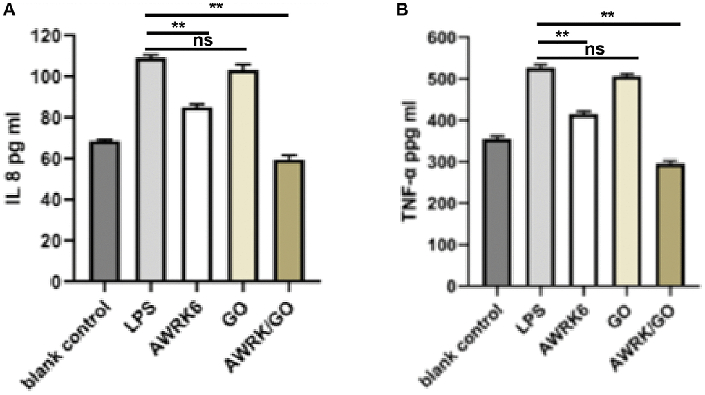 The effect of AWRK6/GO intervention on the levels of inflammatory factors in the whole blood and macrophages of LPS mice. Note: (A) IL-8 expression level; (B) TNF-α level.