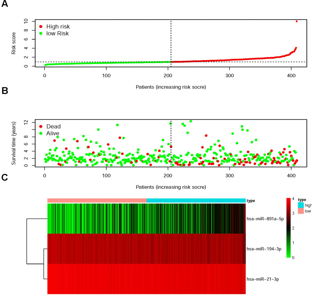 Risk score model (RSM) was established based on sDMIRs. The distribution of risk score in the high-risk group and the low-risk group (A). Survival status in the low-risk group and the high-risk group (B). The heatmap of the expression levels of sDMIRs (hsa-miR-194-3p, hsa-miR-21-3p and hsa-miR-891a-5p) contained in the RSM (C) based on TCGA database.