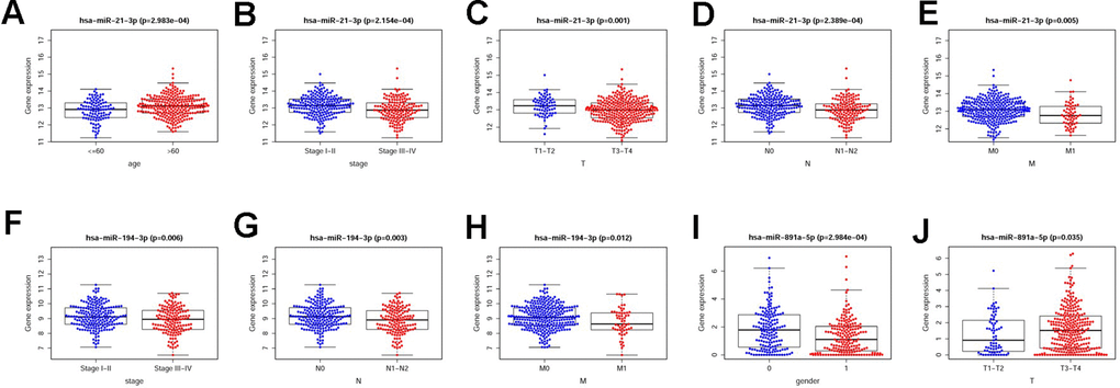 The relevancies between the clinical features and sDMIRs. The expression levels of hsa-miR-21-3p were increased in older patients (A), patients with early stage (B), early T-stage (C), early N-stage (D) and early M-stage (E). The expression levels of hsa-miR-194-3p were decreased in the patients with advanced stage (F), advanced N-stage (G) and advanced M-stage (H). The female patients (I) and patients with advanced T-stage (J) were correlated with the higher expression levels of hsa-miR-891a-5p based on TCGA database. (0 = Female patients; 1 = Male patients).