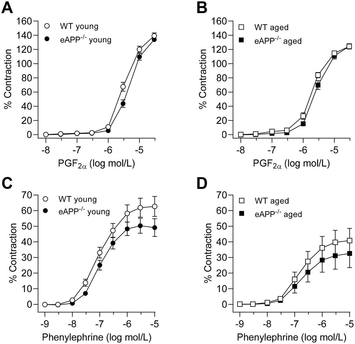 Concentration-dependent contractions to PGF2α (A, B) and phenylephrine (C, D) in isolated aortic rings derived from young and aged eAPP−/− mice and their respective wild-type (WT) littermates. Results are shown as mean ± SEM (n=9 per group for young WT littermates and eAPP−/− mice and n=8 per group for aged WT littermates and eAPP−/− mice) and contractions are expressed as percentage of response to a second KCl (80 mmol/L). No significant differences were detected between WT littermates and eAPP−/− mice at same age (ANOVA with Bonferroni's correction).