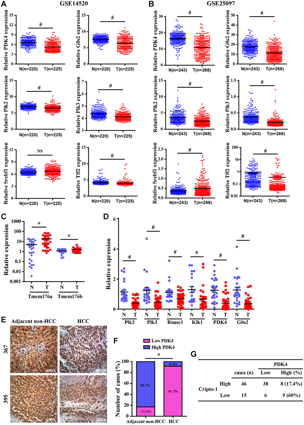 Validation analysis of differentially expressed genes from the liver of RCLG/Alb-Cre mice in HCC tissues. (A–B) The expression levels of CR-1 in HCC (T) and adjacent non-cancerous (N) liver tissue biopsies derived from NCBI-GEO datasets (GSE14520 and GSE25097). (C–D) qRT-PCR analysis shows expression of the indicated genes (selected from Figure 6A–6D) in primary HCC (T) and matched non-tumor liver (N) tissues. (E) Representative IHC images show PDK4 expression in HCC and adjacent non-tumor liver tissue biopsies. (F) IHC assay results show the percentage of HCC and adjacent non-tumor liver tissue biopsies with high or low PDK4 expression. As shown, PDK4 expression was significantly lower in the HCC tissue biopsies than in the adjacent non-tumor liver tissues. (G) The correlation analysis between CR-1 and PDK4 expression in HCC specimens based on PDK4 IHC data.