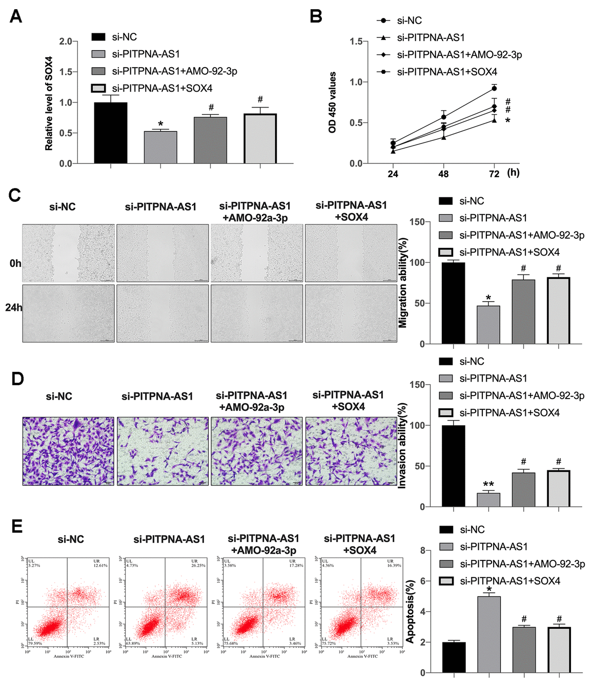 PITPNA-AS1 interacts with miR-92a-3p to regulate SOX4 expression. (A) SOX4 expression in SGC7901 cells; (B–E) cell proliferation (B), migration (C), invasion (D), and apoptosis (E) in SGC7901 cells containing si-PITPNA-AS1, miR-92a-3p mimic, and SOX4 vector. Data are presented as mean ± SEM. Statistic significant differences were indicated: ** P #P 