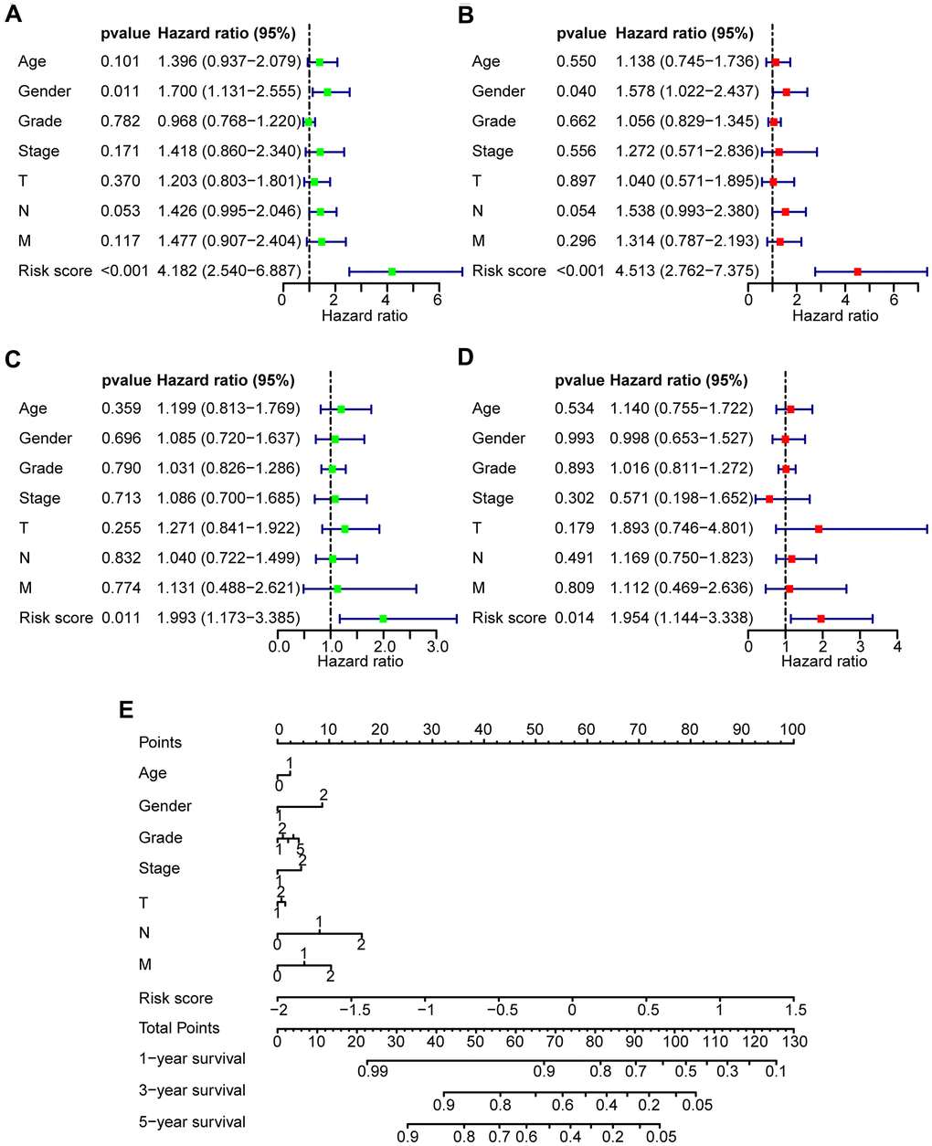 Prognostic predictive value of risk score in HNSCC patients. (A, B) Univariate and multivariate Cox regression analyses of the clinical factors of the patients in the TCGA training set, respectively. (C, D) Univariate and multivariate Cox regression analyses of the clinical factors of the patients in TCGA test set, respectively. (E) Nomogram for OS in HNSCC patients.