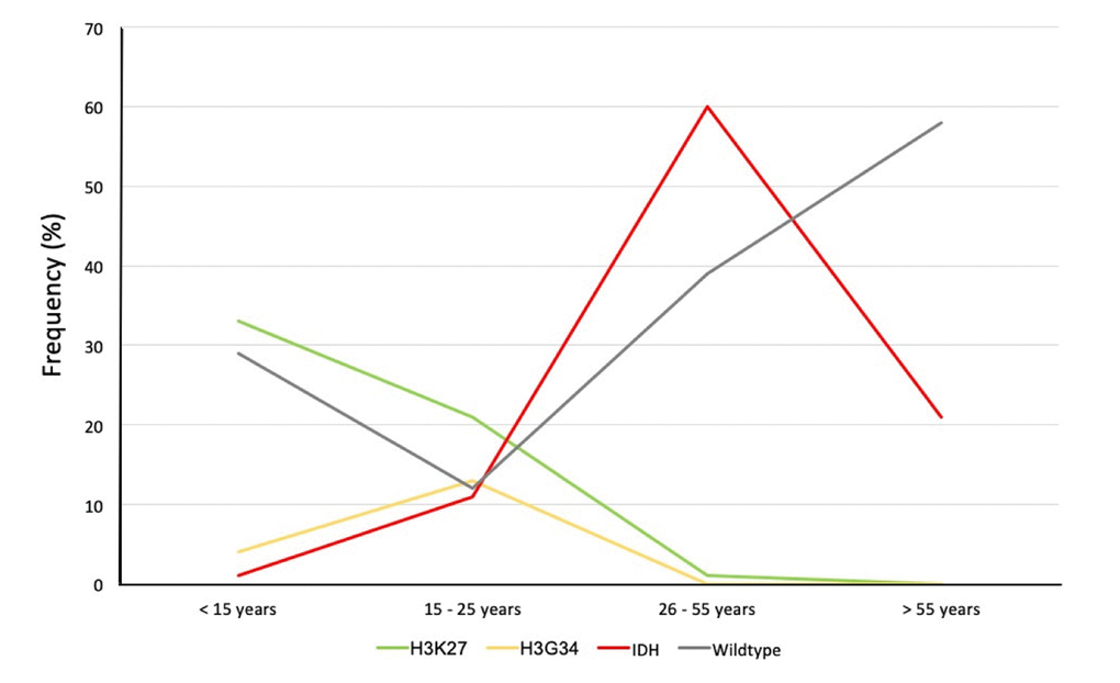 Age distribution of histo-molecular subtypes of diffuse gliomas. Green: Diffuse midline gliomas, H3K27-mutant; Yellow: Diffuse gliomas, H3G34-mutant; Red: Diffuse gliomas, IDH-mutant (with and without 1p/19q-codeletion); Grey: Diffuse gliomas, IDH-wildtype.