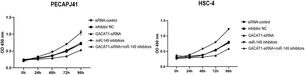 Effects of si-control, GACAT1-siRNA, inhibitor NC and miR-149 inhibitors respectively or in combination on the proliferation of OSCC cells.**p 