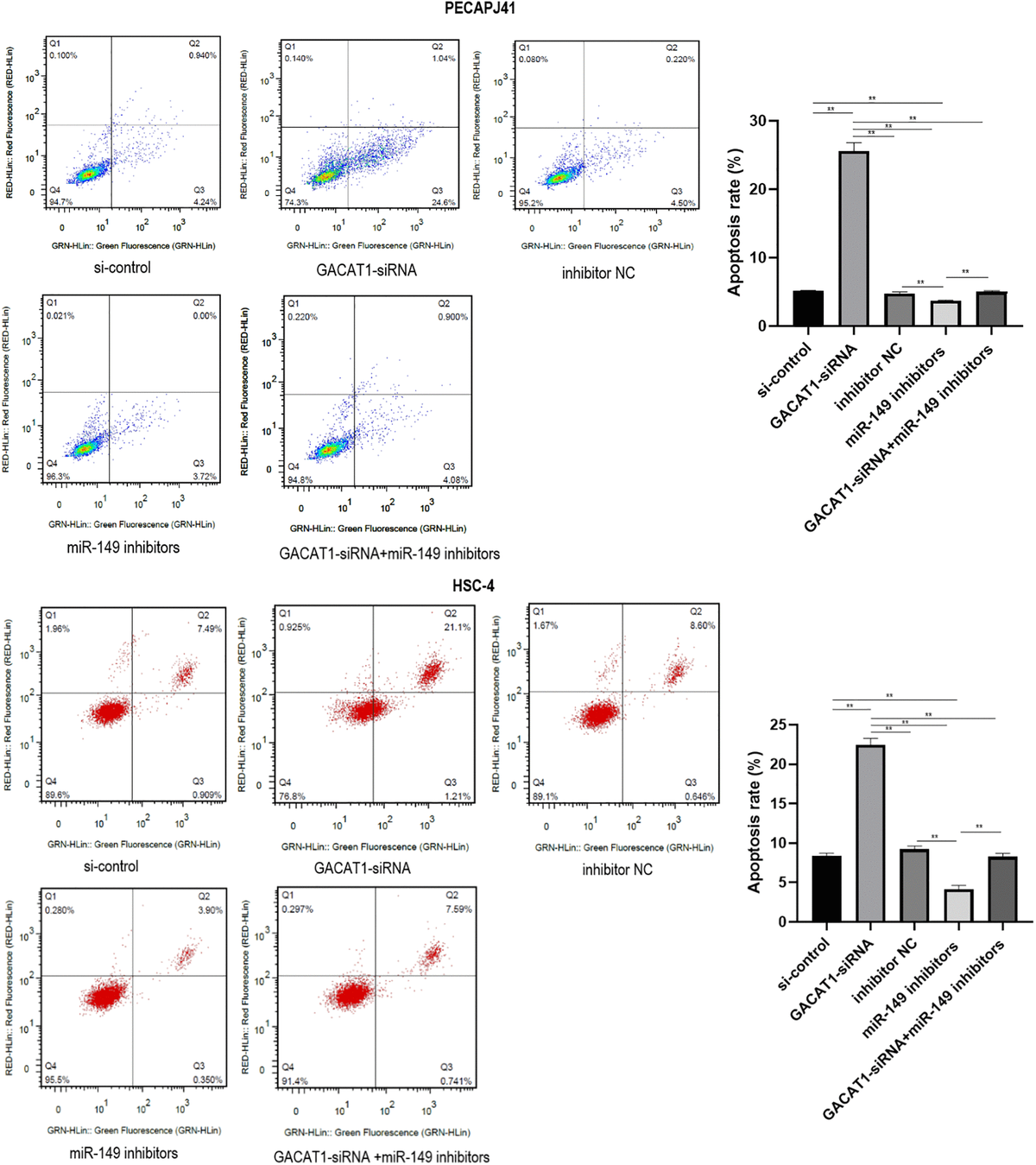 Lncrna Target Genes Involved In Galactinol Synthase And Calcium