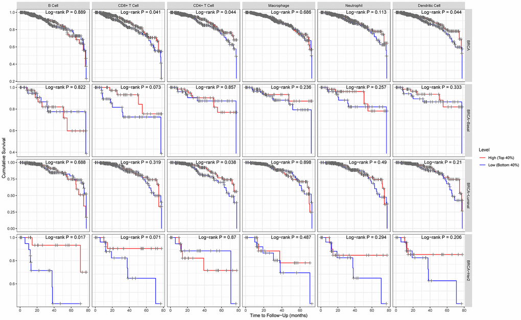 Comparison of survival curves of the high and low expression of ACE2 in different subtypes of breast cancer based on immune cells subgroups. For luminal subtype of breast cancer, lower expression level of ACE2 was related to poorer prognosis in enriched CD8+ T cells. The results for HER2 enriched subtype of breast cancer indicated that lower expression of ACE2 was related to poorer prognosis in enriched B cells.